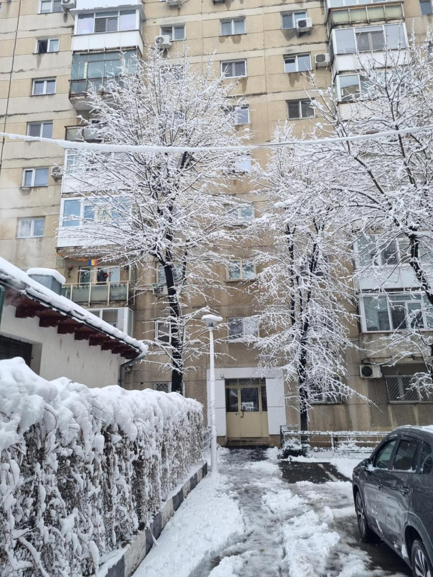 Thomas' Place -100m Parc Si Metrou Tineretului * Bucarest